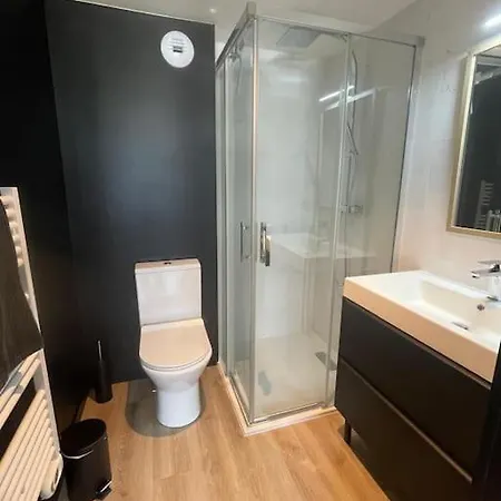 T1 Clim Proche Chu Pellegrin Appartement
