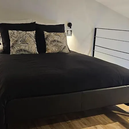 Appartement T1 Clim Proche Chu Pellegrin *